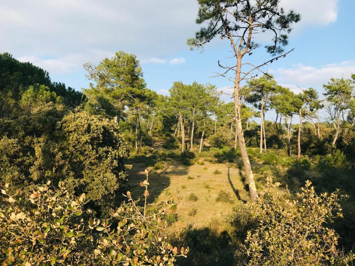 Le Miramar, Face Mer Et Standing Saint-Jean-de-Monts Luaran gambar